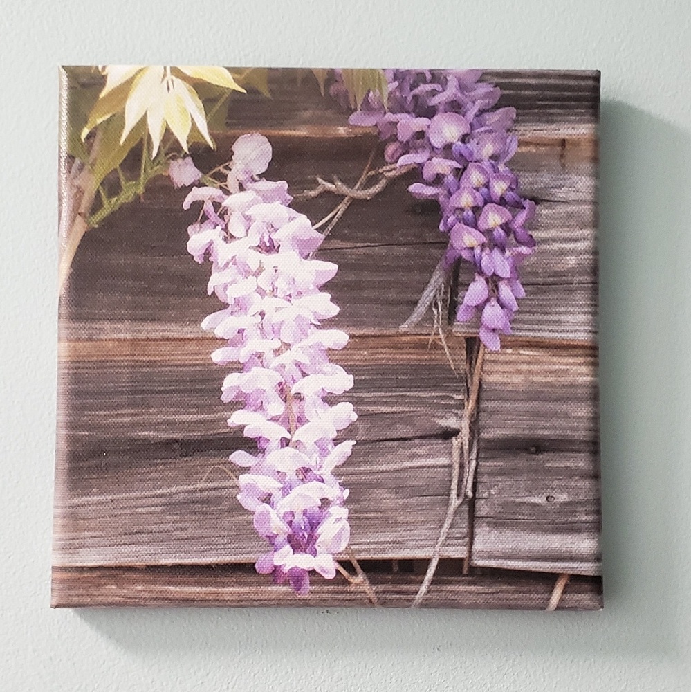 Wysteria photo printed on canvas